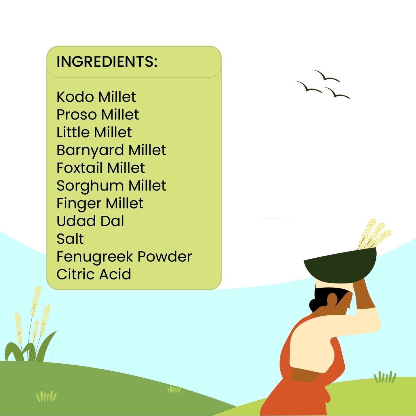 Multi Millet Dosa | 7 Millet Blend | 165g, Pack of 1